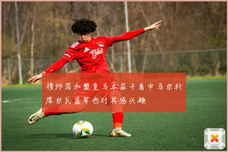 穆帅若加盟皇马本菲卡看中马尔科席尔瓦蓝军也对其感兴趣