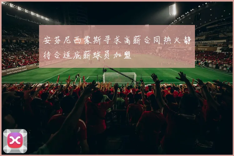安芬尼西蒙斯寻求高薪合同热火静待合适底薪球员加盟